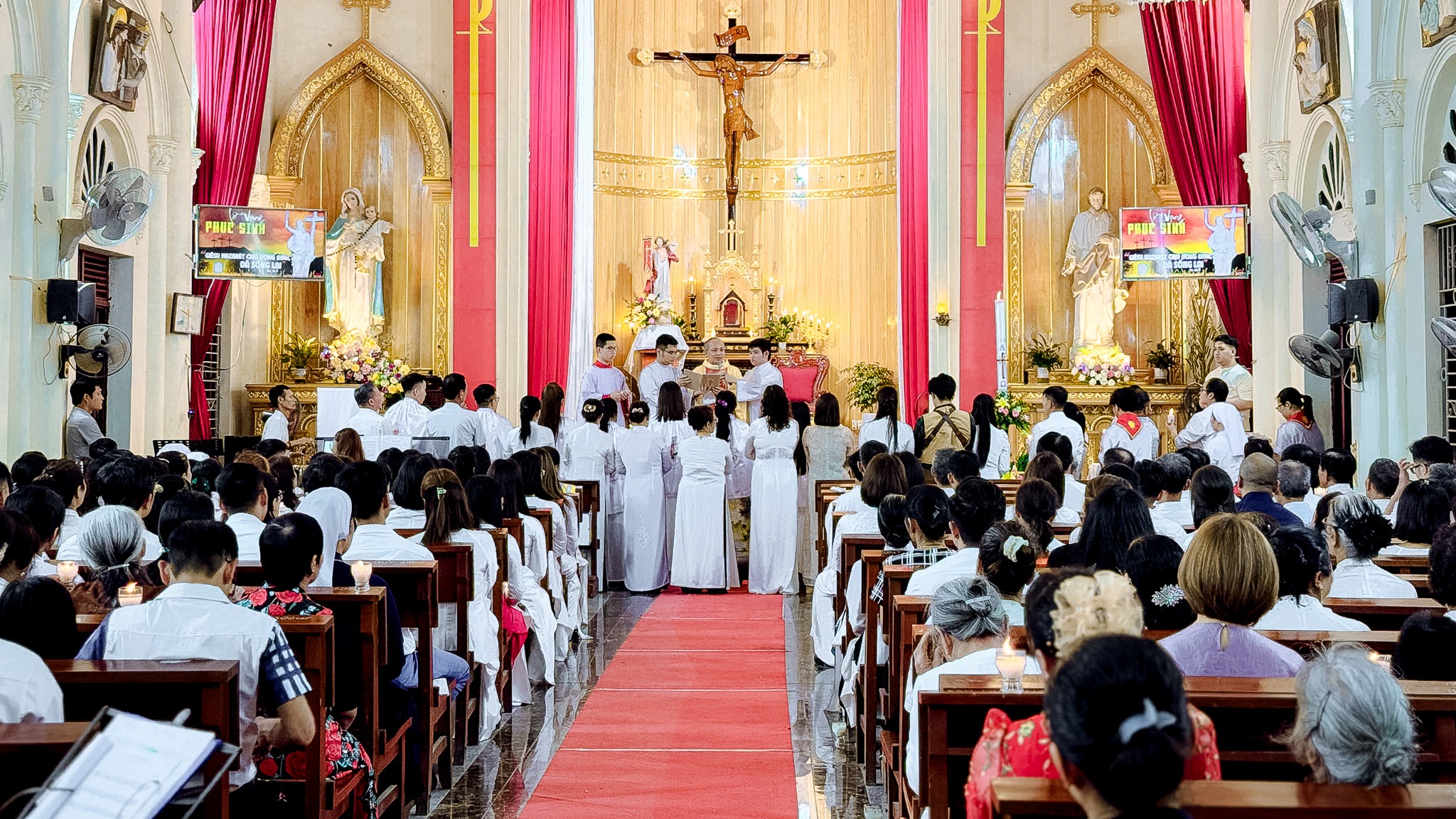 Giáo xứ Trang Quan: Đêm vọng Phục sinh mang lại ơn tái sinh cho các dự tòng